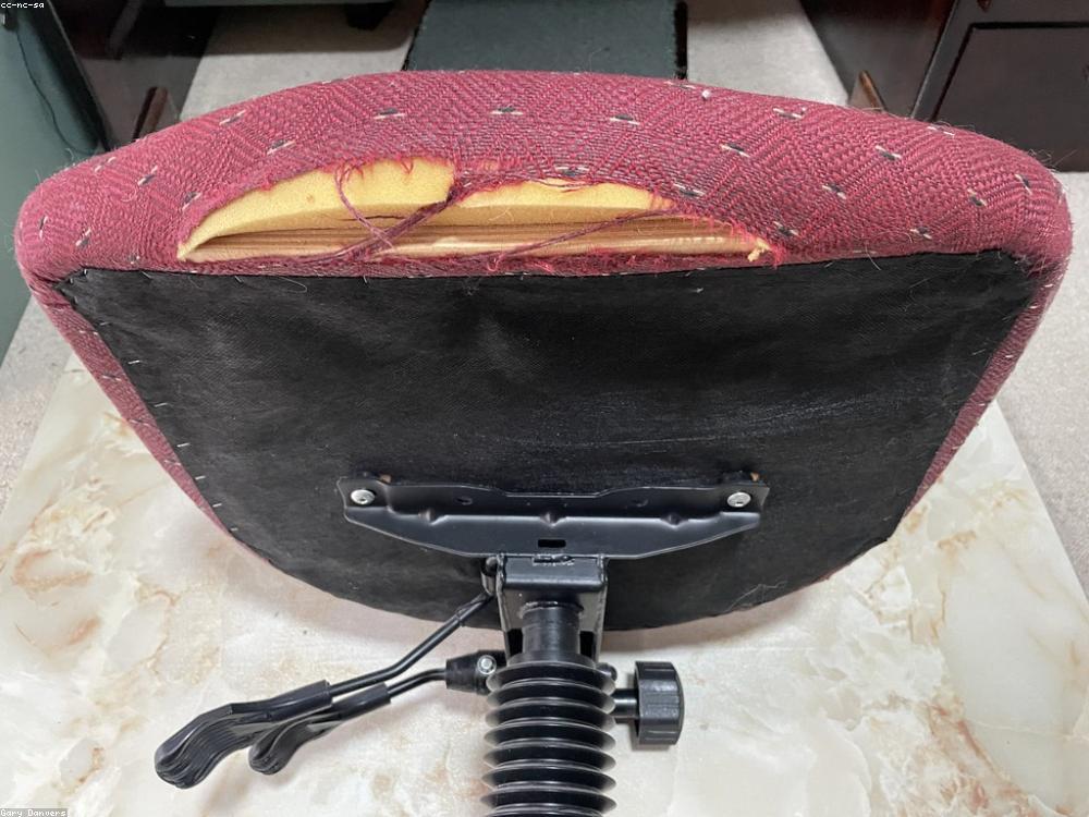 Ergonomic Task Chair