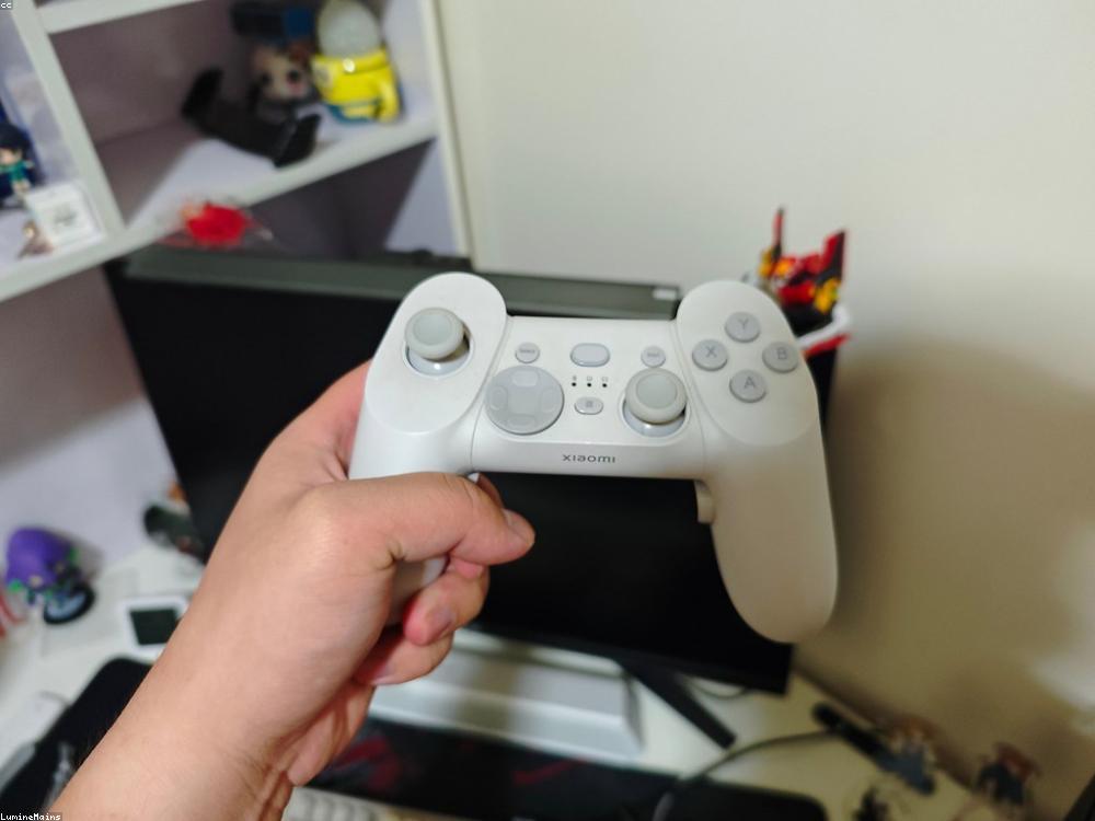 Pro Controller